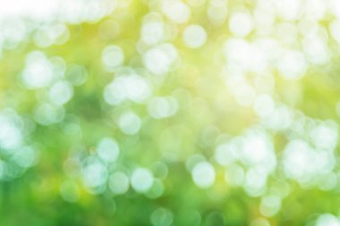 Arkaplan için soyut bulanık yeşil renk, sağlık bahçesinde bulanık yapraklar ve beyaz baloncuk odak dokusu.