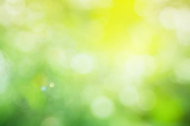 Arkaplan için soyut bulanık yeşil renk, sağlık bahçesinde bulanık yapraklar ve beyaz baloncuk odak dokusu.