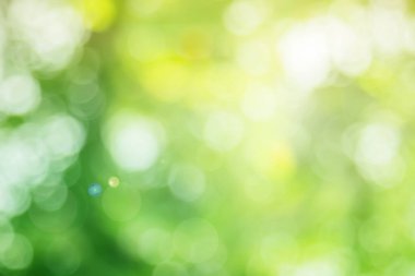 Arkaplan için soyut bulanık yeşil renk, sağlık bahçesinde bulanık yapraklar ve beyaz baloncuk odak dokusu.