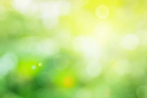 背景のための抽象的なぼやけた緑の色 健康の庭の屋外と白い泡のフォーカステクスチャでぼかし葉 — ストック写真