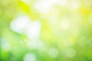 Arkaplan için soyut bulanık yeşil renk, sağlık bahçesinde bulanık yapraklar ve beyaz baloncuk odak dokusu.