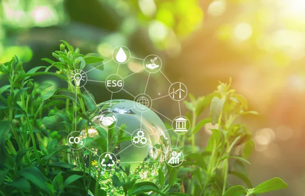 Environment day world concept - Globe glass in green forest with sunlight in nature and abstract icon. Community teamwork, CSR and ESG environmental energy saving collaboration, ecology management  .