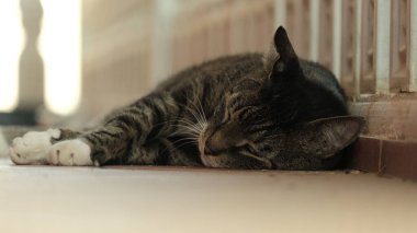 Yaz ortasında bir yerlerde....