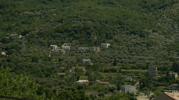 Village Forest Mountains — Stockfoto