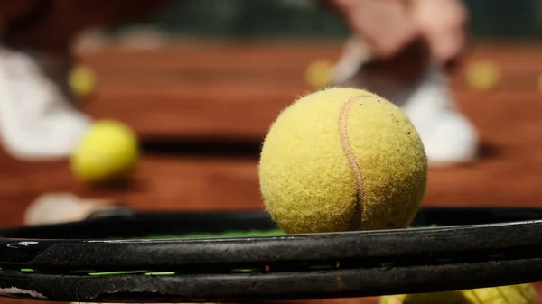 Yellow tennis ball on a tennis racket