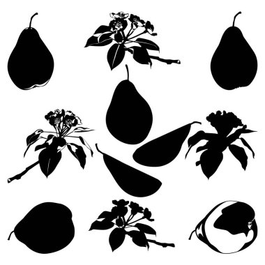 Yeşil armut, yarım ve çeyrek dilimler, çiçek açan armut ağaçları siyah siluetler, vektör illüstrasyonu. Olgun ve sulu, sağlıklı diyet meyvesi.