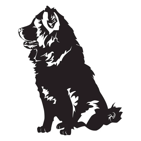 Chow Chow Hond Zwart Silhouet Vector Illustratie Geïsoleerd Witte Achtergrond — Stockvector