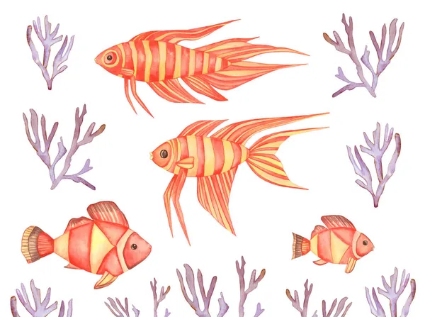 สีน้ํา ปลาสีแดงเขตร้อน ปะการังสีม่วงที่วาดด้วยมือแยกกันบนพื้นหลังสีขาว . — ภาพถ่ายสต็อก