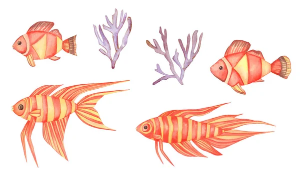 열 대 지방의 붉은 물고기. 손으로 채색 한 보라색 산호는 흰 배경에 분리되어 있다. — 스톡 사진