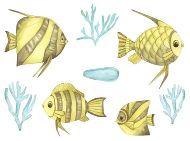 Suluboya tropikal balıklar. El boyası mavi mercanlar beyaz arkaplanda izole..