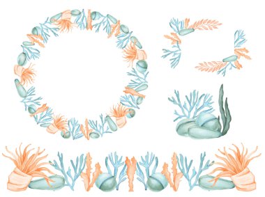 Su altı Karayip Denizi 'ndeki suluboya Taşlar, Mercanlar ve deniz yosunlarıyla beyaz bir zemin üzerinde izole edilmiş.