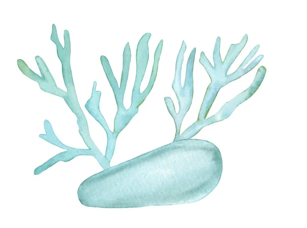 Akvarell tropisk ocean korall sammansättning. Handmålade blå koraller isolerad på vit bakgrund. — Stockfoto