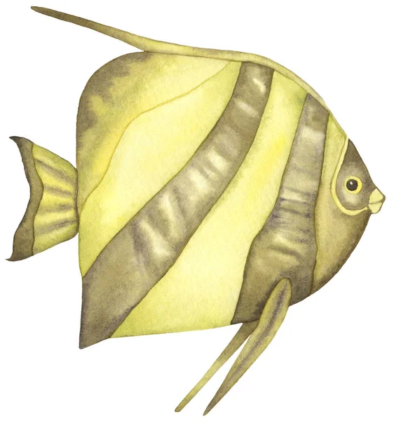 ปลาเขตร้อนสีน้ํา ปลาสีเหลืองที่วาดด้วยมือถูกแยกจากพื้นหลังสีขาว . — ภาพถ่ายสต็อก