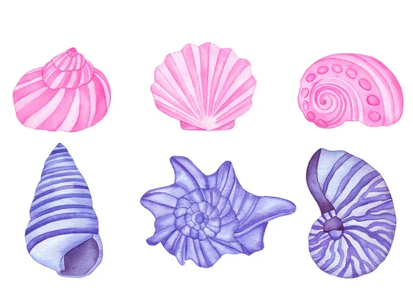 Vattenfärg rosa och violetta snäckskal set. Undervattens SeaShells isolerad på vit bakgrund. — Stockfoto