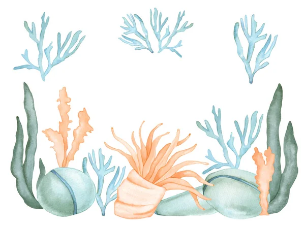 Akwarela Podwodny skład Morza Karaibskiego z kamieni, korali, Wodorosty morskie izolowane na białym tle. — Zdjęcie stockowe
