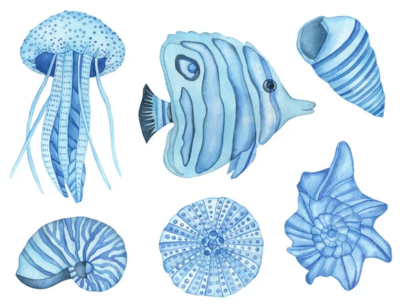 Акварель Подводных Существ Blue Fish Sea Shells Blue Jelly Fish — стоковое фото
