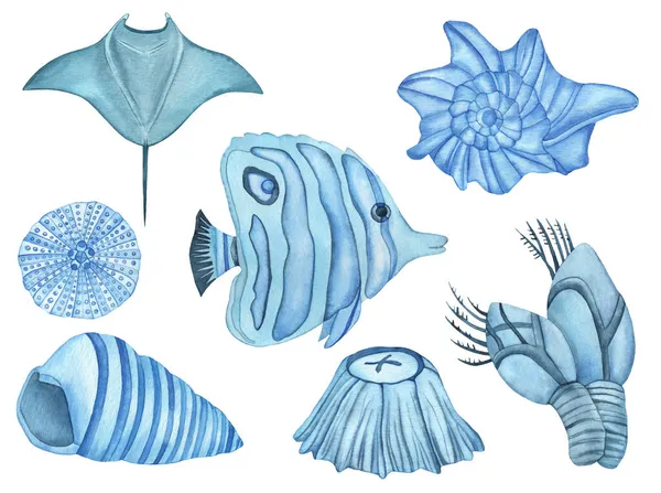 Vízalatti Lények Akvarellje Kék Hal Tengeri Kagyló Tengeri Sün Görcsös — Stock Fotó