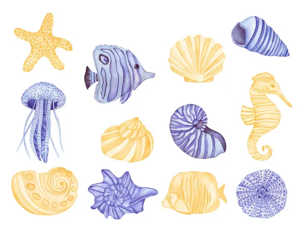 Υδατογραφία Υποβρύχια Πλάσματα Violet Fish Sea Shells Sea Horse Και — Φωτογραφία Αρχείου