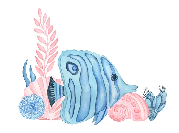 Акварель Підводний Склад Блакитною Рибою Морськими Мушлями Водоростями Морським Урчином — стокове фото