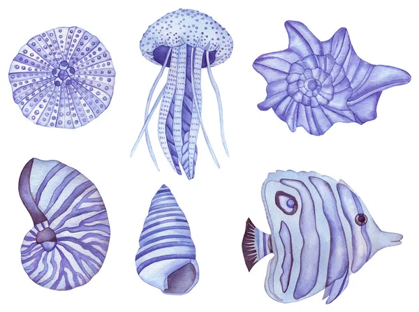 Acuarela Criaturas Submarinas Pescado Violeta Conchas Marinas Mermelada Aislados Sobre —  Fotos de Stock