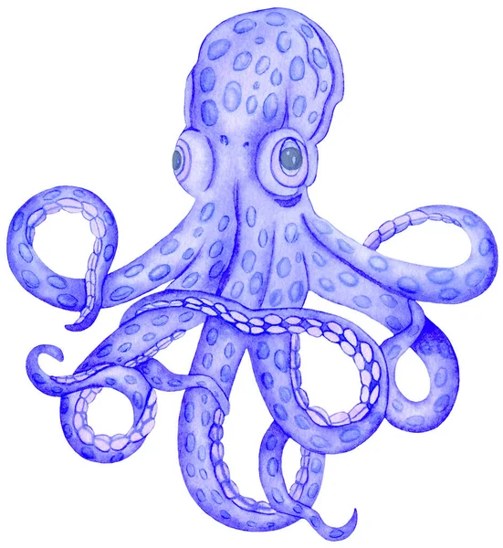 Acuarela Criaturas submarinas Pulpo azul, Ilustración dibujada a mano —  Fotos de Stock