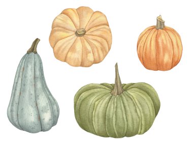 Suluboya Sonbahar Balkabakları beyaz arkaplanda izole edildi.