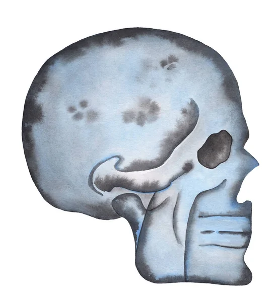 Menschlicher Schädel Vintage Holiday Blue Watercolor Handgemalte Illustration Auf Weißem — Stockfoto