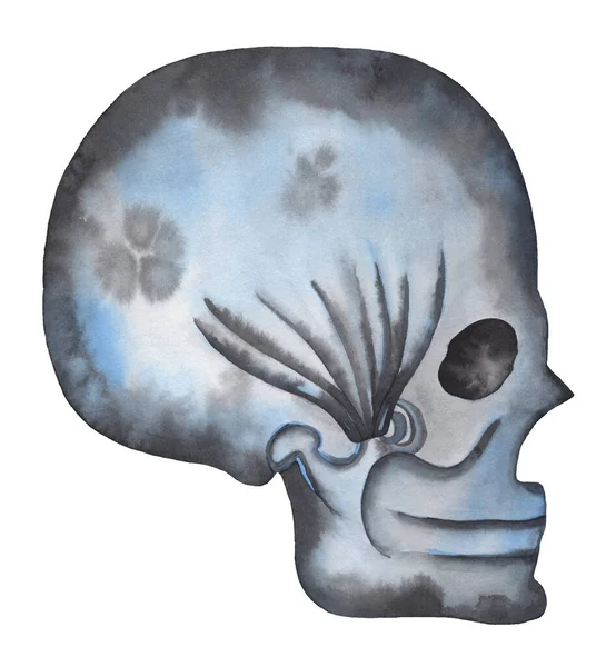 Human Skull Vintage Holiday Blue Watercolor Hand Painted Illustration White — Foto de Stock