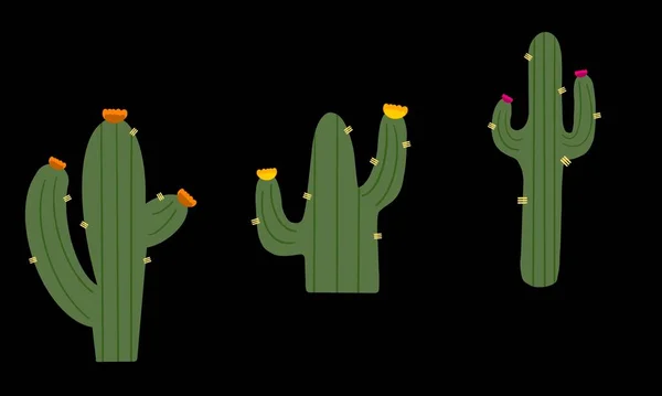 Cartoon green cactus set design illustration and bright cacti flowers isolated on black background. Cute texture for kids room design, Wallpaper, textiles, wrapping paper, apparel. Vector.