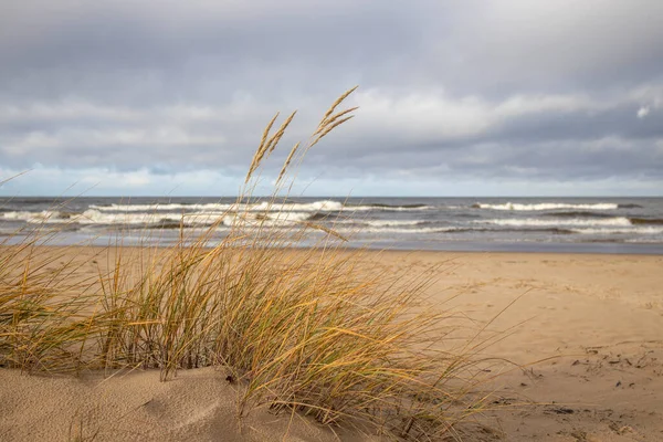 Duna de arena de hierba vista al mar, Mar Báltico — Foto de Stock
