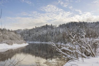 Kış arka plan manzara. Kış harikalar diyarı ağaçlarda. Kış sahne. Noel, yeni yıl arka plan