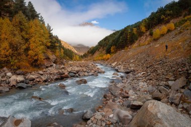 Sonbahar manzarası bir dağ geçidinde, sararmış bir orman ve mavi suyla dolu bir nehir.