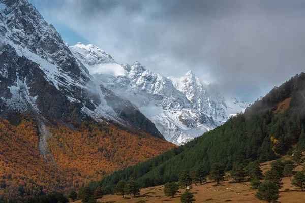 Paisagem Outono Com Montanhas Cobertas Neve Árvores Amareladas Desfiladeiro Chegem Fotos De Bancos De Imagens