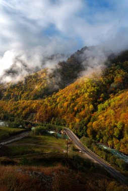 Sonbahar ormanı gökyüzü bulutlu ve asfalt yolu olan dağ yamaçları.