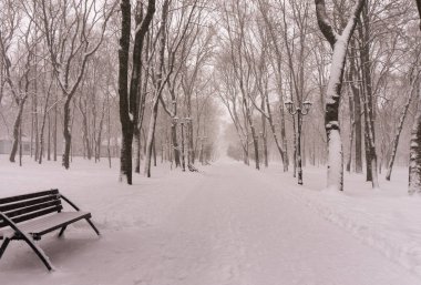 Kışın kar altında şehir parkı