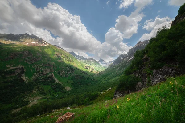 Гірська Ущелина Долини Річки Муруджу Заповіднику Теберда Влітку Зеленою Травою — стокове фото