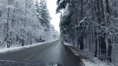 Kış ormanı Karda ağaçlar. Araba asfalt bir yolda gidiyor. Doğa.