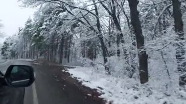 Kış ormanı Karda ağaçlar. Araba asfalt bir yolda gidiyor. Doğa.
