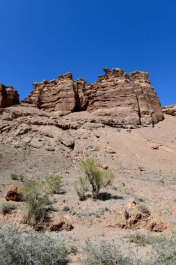 Kanyon güneşli manzaralı kayalar ve belirgin sarımsı taş dokusu, portre oryantasyonu.