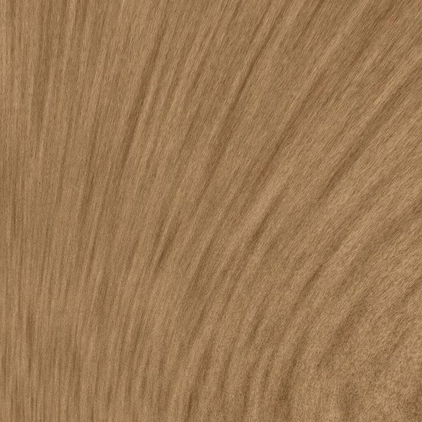 木製の背景、 1x1 、木材繊維、 3Dレンダリング. — ストック写真