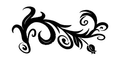 Baroque inspired hand drawn floral ornament with swirls, leaves, stem and tulip