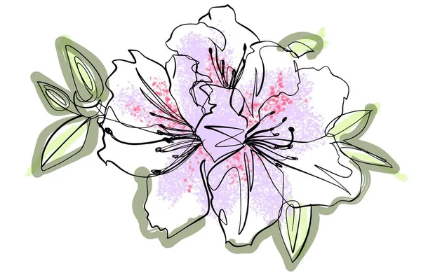 Flowering Rhodadendrons Minimalist Drawing Ink Paint — Image vectorielle