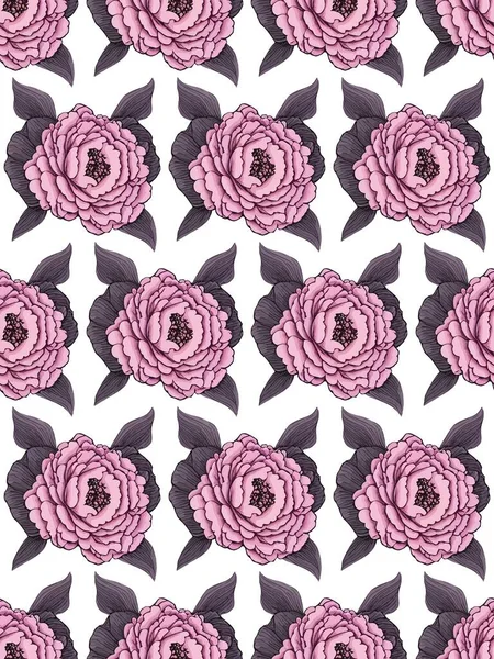 Padrão Sem Costura Flores Com Folhas Rosa Sobre Branco Ilustração — Vetor de Stock