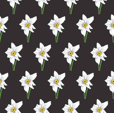 Nergis çiçeğinin kusursuz deseni, botanik çizimi