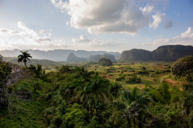 Vinales Valley, Küba'da mogotes, yatay üzerinden panoramik görünüm