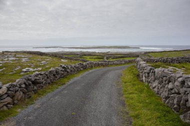 Güzel manzaralı küçük dar asfalt yolu, Galway ilçesi, İrlanda. Bulutlu gökyüzü. İrlanda manzarası. Doğa manzarası. Popüler turist gezisi