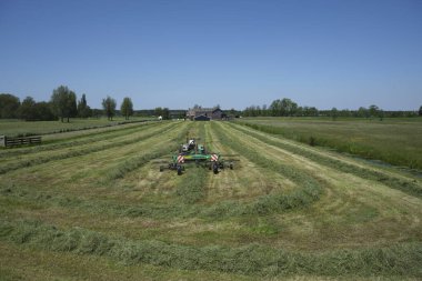 Hollanda 'da çimenleri tırmıklayan traktör.