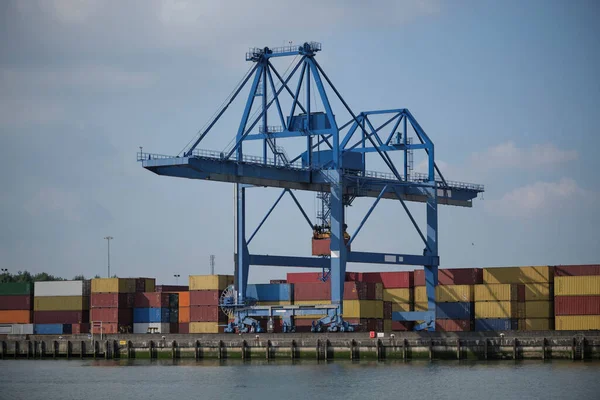 Maasvlakte Port Rotterdam Netherlands Heavy Lift Cargo Cranes Moving Cargo — Stock Photo, Image