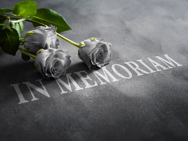 Güzel beyaz gül ve gri arka plan, üstten görünüm mum. Cenaze sembolü