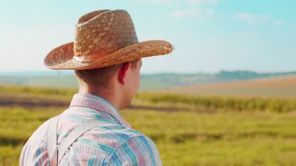 小麦畑に沿って行く農家。男性労働者は夏時間に働く。農業・農業の概念 — ストック動画
